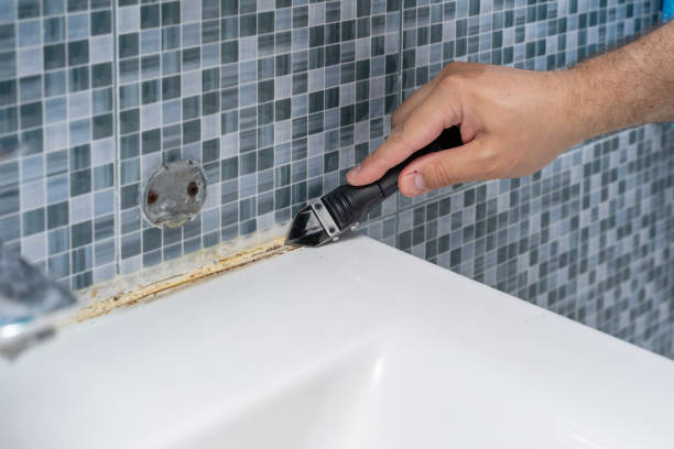 Mold Removal Process in Munford, TN